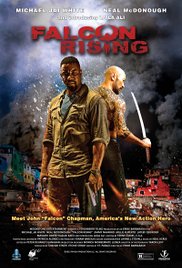 Watch Full Movie :Falcon Rising (2013)