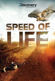 Watch Full Movie :Speed of Life (2010)
