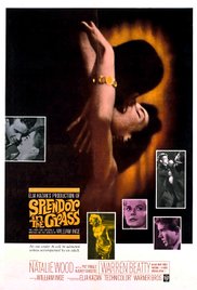 Watch Full Movie :Splendor in the Grass (1961)