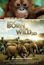 Watch Full Movie :Born to Be Wild (2011)