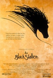 Watch Full Movie :The Black Stallion (1979)