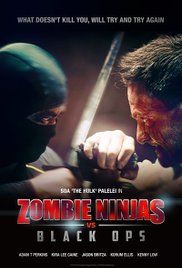 Watch Full Movie :Zombie Ninjas vs Black Ops (2015)