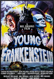 Watch Full Movie :Young Frankenstein (1974)