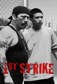 Watch Full Movie :1st Strike (2016)