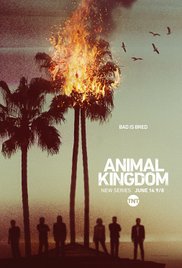 Watch Full Movie :Animal Kingdom