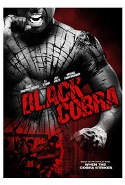 Watch Full Movie :Black Cobra (Video 2012)