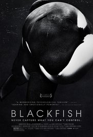 Watch Full Movie :Blackfish (2013)